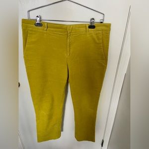 Banana Republic Avery fine wale cord cropped pants